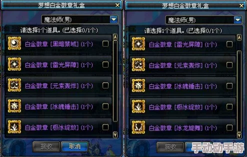 DNF游戏中哪个装备部位适合镶嵌蓝色徽章详细解析