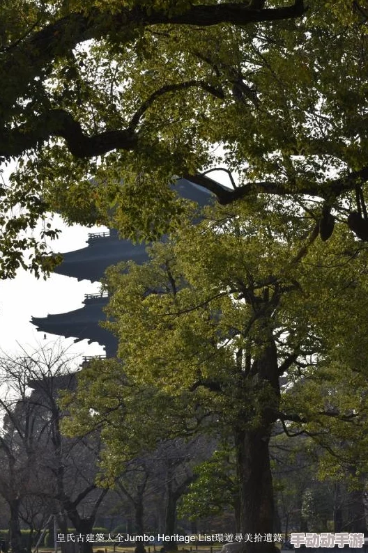 六道萌仙：平民玩家最强阵容攻略，新手必看高效组合推荐