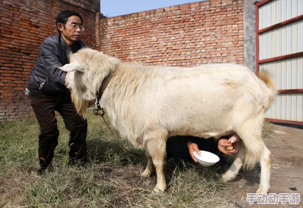 国产美女挤奶水在线观看，竟然引发网友热议，背后隐藏的真相让人震惊不已！