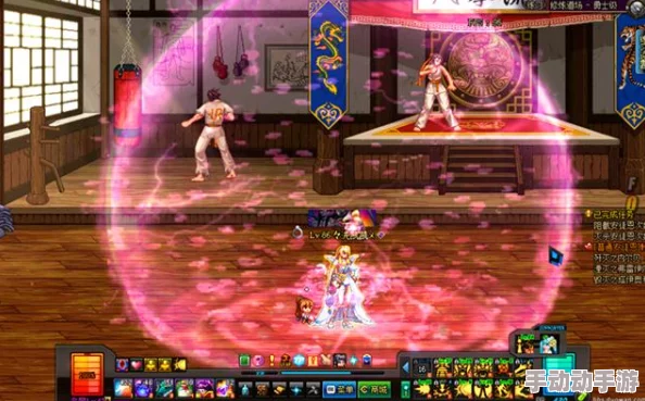 DNF游戏中，选择哪个职业的圣骑士角色更具优势与乐趣？