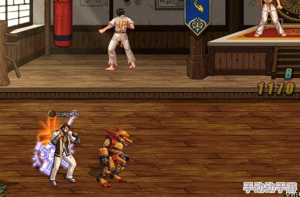 DNF游戏中，选择哪个职业的圣骑士角色更具优势与乐趣？