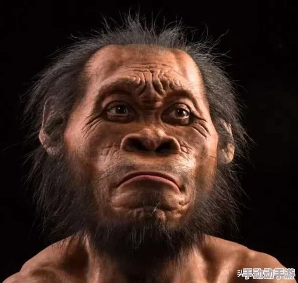 亚欧专区：聚焦亚欧地区的经济、文化与政治动态，促进两大洲之间的交流与合作，共同应对全球挑战