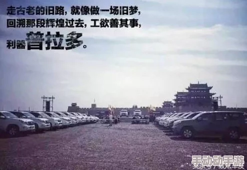 东热激情：探索中东地区独特的文化、历史和社会变革对当今国际关系的影响与启示