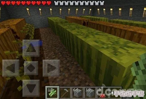 《我的世界》游戏中高效种植土地的技巧与方法全面解析