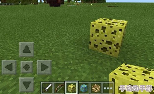 《我的世界》游戏中那些你无法轻易获取的稀有物品全面介绍 《我的世界》游戏中那些你无法轻易获取的稀有物品全面介绍
