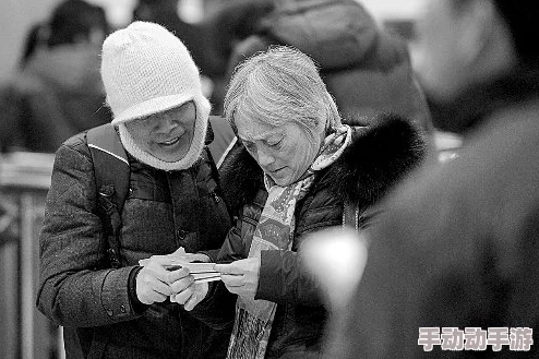 专找老阿姨：探讨老年群体在现代社会中的情感需求与社交现象以及影响因素分析