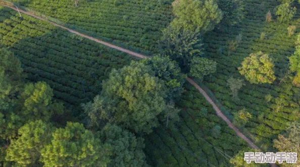 免费进入b站2022年更新：最新进展与用户反馈分析，畅享更多精彩内容的全新体验