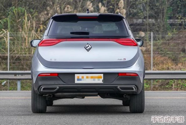 国产suv一区二区：深入分析当前市场上国产SUV的特点、优势及其在消费者心中的地位与影响力