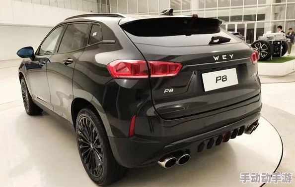 国产suv一区二区：深入分析当前市场上国产SUV的特点、优势及其在消费者心中的地位与影响力