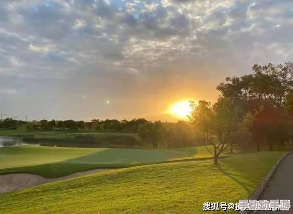 大地资源网8：令人震惊的秘密曝光，背后隐藏着不为人知的真相和惊人利益牵扯！