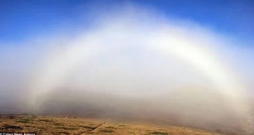 大地资源网8：令人震惊的秘密曝光，背后隐藏着不为人知的真相和惊人利益牵扯！