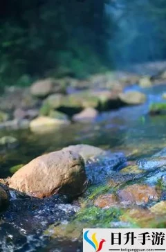 两峰夹小溪地湿又无泥诗：传闻某位知名诗人灵感来源于隐秘山谷，竟与神秘女子共游其间！