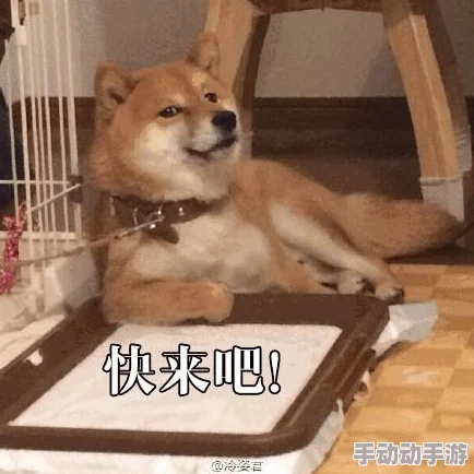 9-1-1吃瓜爆料官网小僵尸:最新进展揭示更多幕后故事与角色关系,粉丝热议不断! 9-1-1吃瓜爆料官网小僵尸:最新进展揭示更多幕后故事与角色关系,粉丝热议不断!