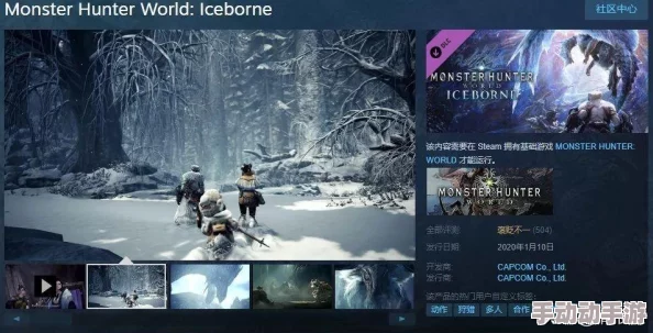 Steam平台上的怪物猎人游戏具体存放在哪个硬盘分区中？