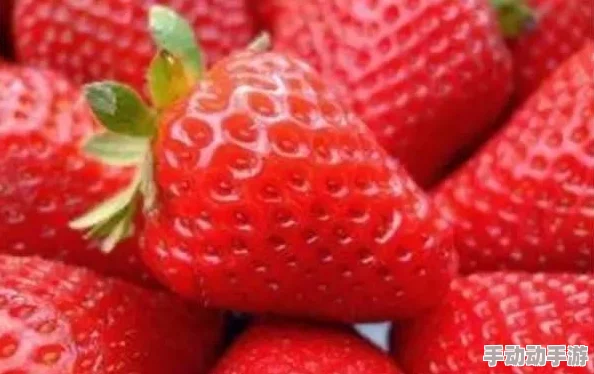 欧美一级视频在线高清观看：最新影视作品上线，热播剧集引发观众热议，精彩内容不容错过！