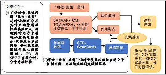 艾梅莉埃深度全解析︱全面养成指南、高效配队策略及核心机制探究