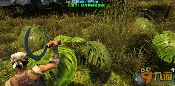 方舟：生存进化游戏内训练猩猩的实用技巧与心得分享