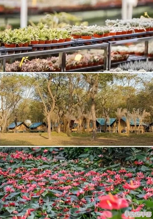 一小孩和妈妈摘萝卜：在温暖的阳光下，母子俩一起走进田野，体验收获的乐趣，共同享受亲子时光