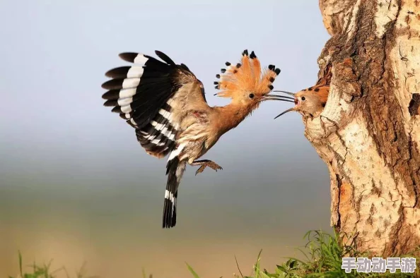 尤物精品视频一区二区三区：最新影视动态引发热议，观众对新剧集的期待与讨论持续升温