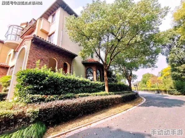 全面解析中战术耳机的功能与高效用法