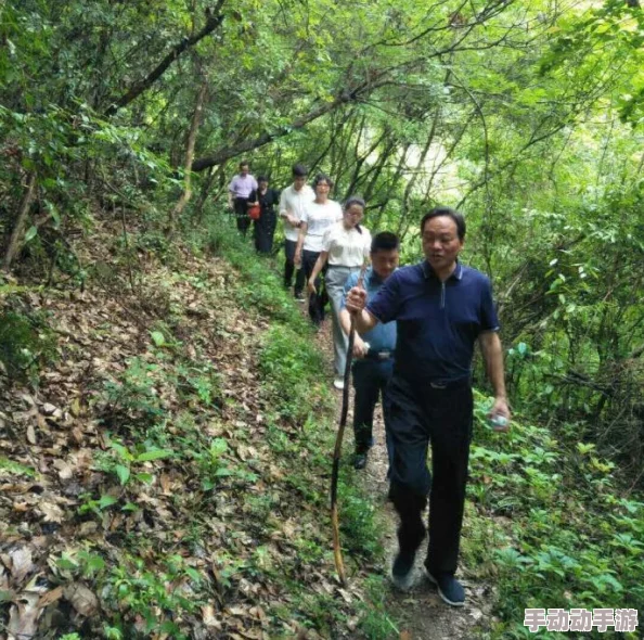 一区电影：从创意构想到全球发行的全新进展与市场反响分析