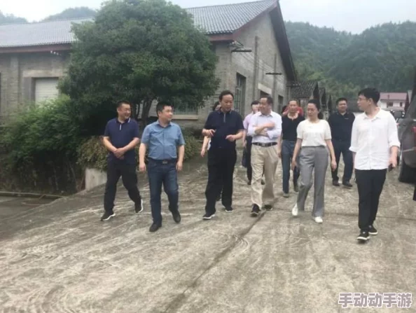 一区电影：从创意构想到全球发行的全新进展与市场反响分析