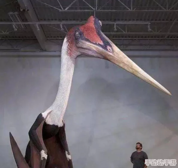 公翁又粗又长，惊现超现实场景，令人目瞪口呆的怪异现象引发热议，网友纷纷点赞！