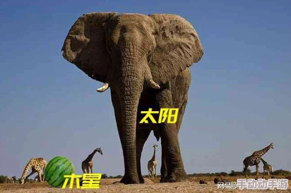 大伊香煮大象的传承文化：揭开古老技艺背后的秘密，传承与创新的碰撞让人震惊！