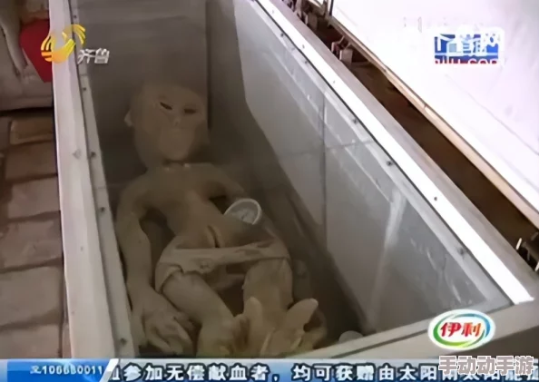 雷电将军-裸-体-被 -吸-乳-，新动态曝光：神秘事件引发热议，粉丝们纷纷讨论背后的故事与含义