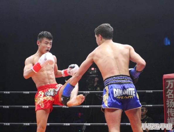 黑土腿法娴熟脚法图片高清，展示了独特的技艺与风格，带你领略传统武术的魅力与精髓