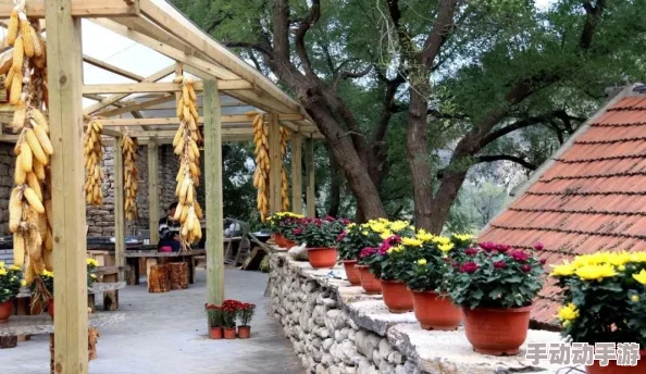 心动小镇烹饪食谱全面指南：解锁美味佳肴的必看秘籍与技巧