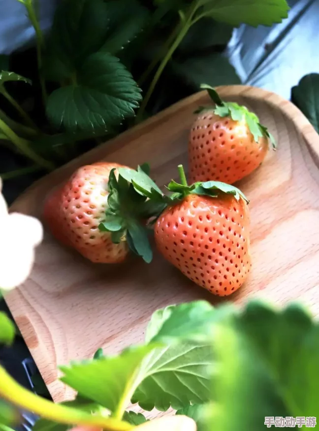 黄桃视频：全新内容上线，带你领略不一样的视觉盛宴与创意表达，快来一起体验吧！