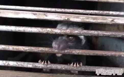 迷你世界游戏中如何给商人喂食及在手机版中吃食物的方法 迷你世界游戏中如何给商人喂食及在手机版中吃食物的方法