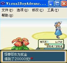 口袋妖怪叶绿版高效刷钱攻略：掌握挣钱技巧与策略详解