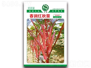 丝瓜香蕉芭乐樱桃秋葵绿巨人：超市新上市神奇水果，竟能提升免疫力，让人惊喜不已！