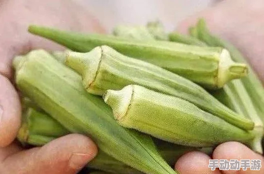 丝瓜香蕉芭乐樱桃秋葵绿巨人：超市新上市神奇水果，竟能提升免疫力，让人惊喜不已！