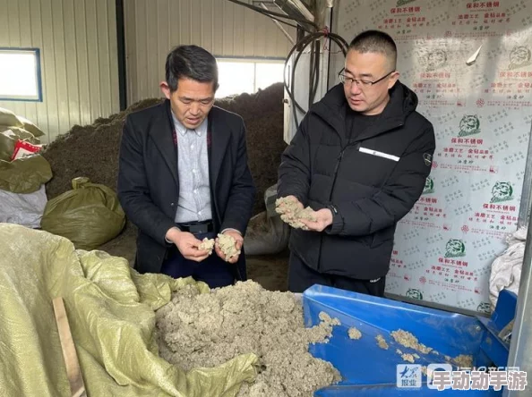丰年经的继拇中文与其他版本差异：网友热议其文化内涵与翻译准确性，观点各异引发讨论