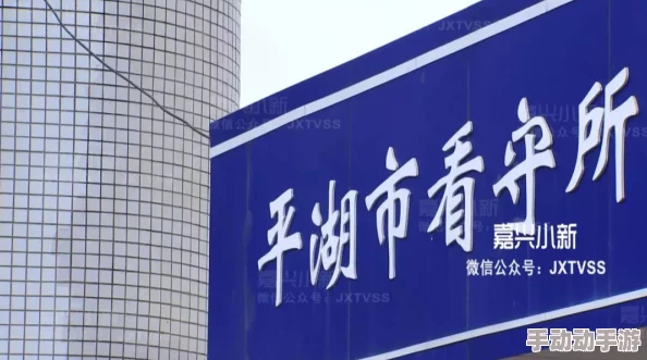 欧美一级淫片免费视频：最新动态与趋势分析，探讨其在当今社会文化中的影响与反响