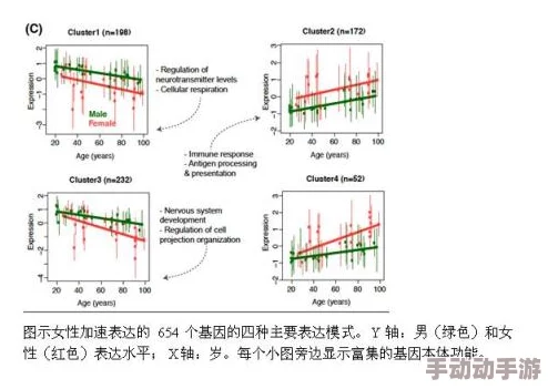 黑人粗大：最新研究揭示影响因素与社会认知的深层次关系，挑战传统观念引发广泛讨论