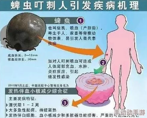 粗大在体内猛烈进出，医生紧急施救揭示身体健康的重要性与潜在风险的深刻反思