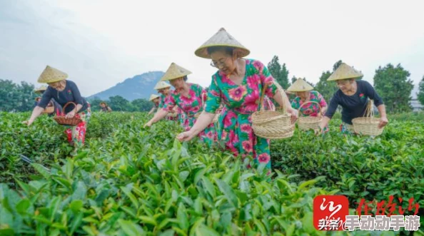 如何在《我的世界》中设计并建造一座古风风格的四合院教程