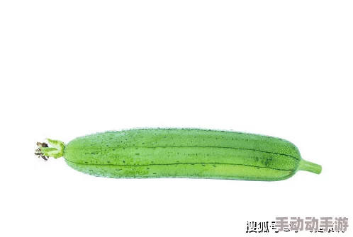 小南吃长门萝卜视频：分享美味的同时，带你了解长门萝卜的营养价值与种植技巧！
