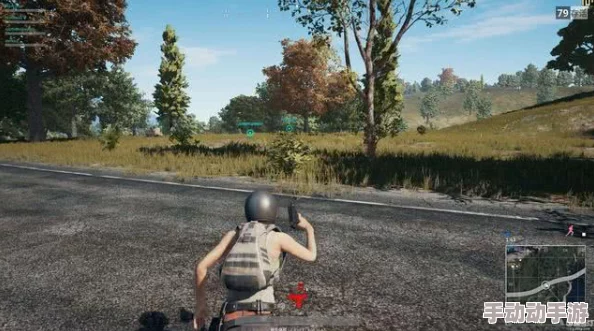 2024年绝地求生游戏当前售价及购买渠道详解