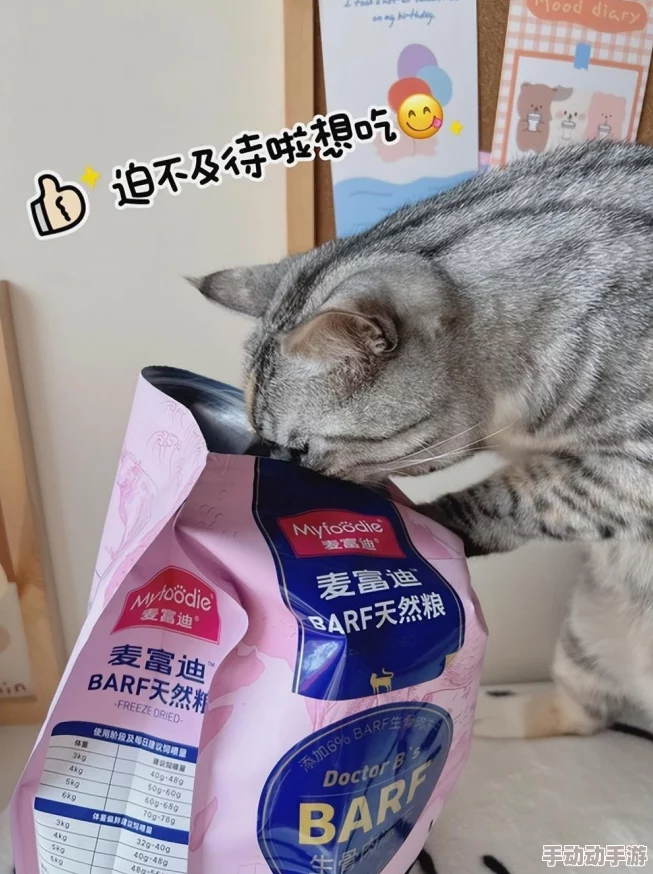 猫咪和汤手游：全面解锁食谱大全与烹饪技巧指南