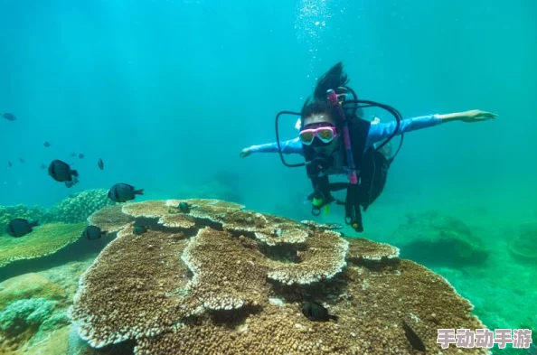 海角乱入：新一季海洋生态调查揭示深海生物多样性面临的严峻挑战与保护措施