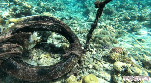海角乱入：新一季海洋生态调查揭示深海生物多样性面临的严峻挑战与保护措施