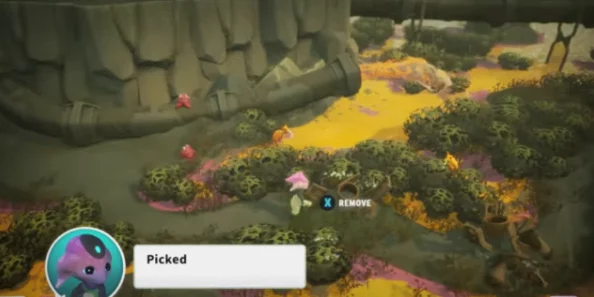 深入探索《我的世界》游戏:揭秘沼泽群系的独特特征与丰富生物多样性 深入探索《我的世界》游戏:揭秘沼泽群系的独特特征与丰富生物多样性