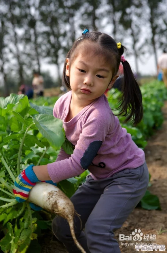 美女拔萝卜:她们在田间展现农耕魅力,收获的不仅是美丽的萝卜,还有满满的快乐与成就感! 美女拔萝卜:她们在田间展现农耕魅力,收获的不仅是美丽的萝卜,还有满满的快乐与成就感!