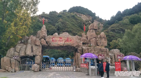 win11 共享：全面了解Windows 11中的文件共享功能与设置技巧，提升你的使用体验与效率