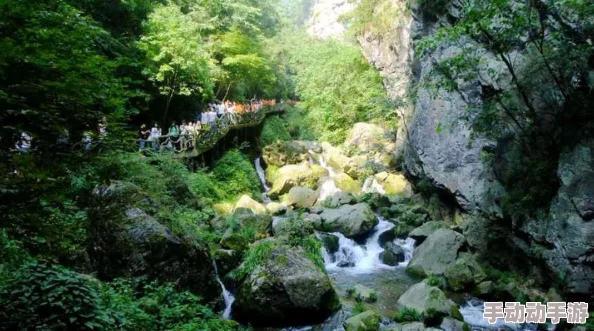 win11 共享：全面了解Windows 11中的文件共享功能与设置技巧，提升你的使用体验与效率